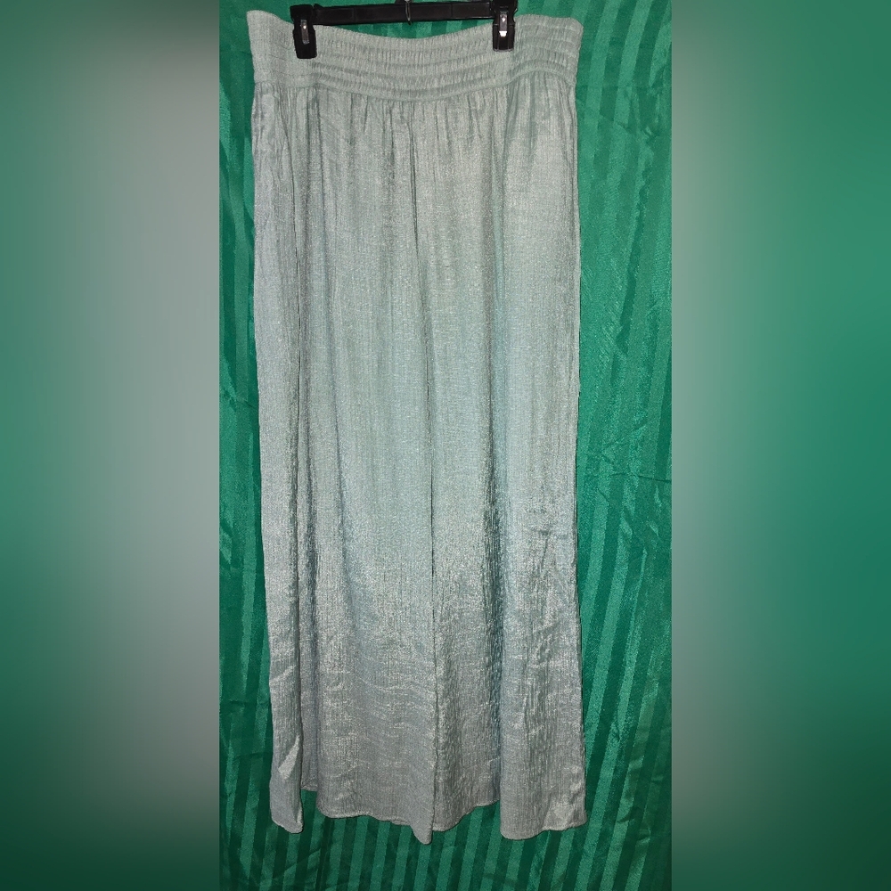 Wonderly XXL SEMI SHINY Green Wide Straight Leg Elastic Waist Lined, Pockets
